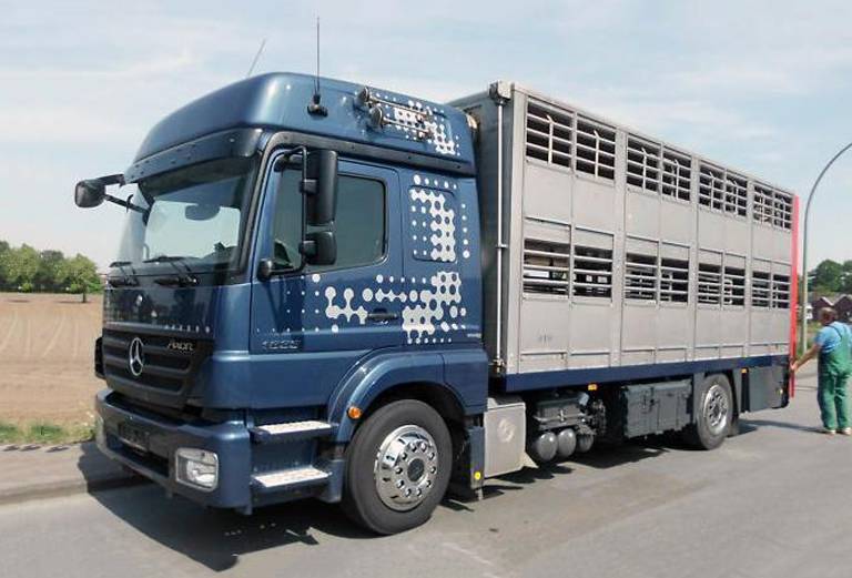 Сколько стоит транспортировать лошадь недорого из Перми в Краснодар